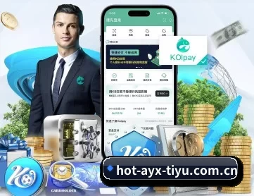 爱游戏体育在线 APP