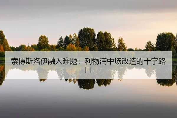 suo-bo-si-luo-yi-rong-ru-nan-ti-li-wu-pu-zhong-chang-gai-zao-de-shi-zi-lu-kou-2-223.jpg